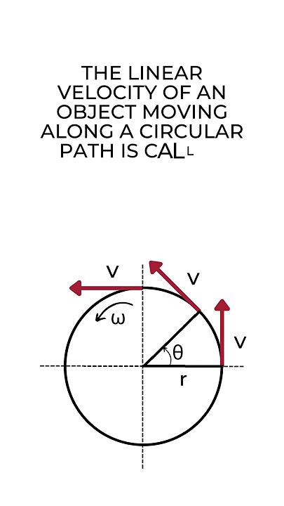 Tangential Velocity - Uniform Circular Motion - Physics 101