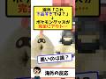 海外「さすがに下品すぎでは？」→30周年の日に発売したスナバァのぬいぐるみが物議