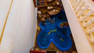 Indoor fish pond Design For two Storage House