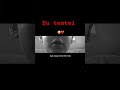 @olidmarioplayjoseblox