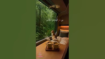 تلاوة هادئة تريح النفس 😴💚 #راحة_نفسية #المصحف #quran #القرآن_الكريم #اسلاميات #اكسبلور #توبه