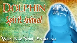 Dolphin Spirit Animal | Dolphin Totem & Power Animal | Dolphin Symbolism & Meanings