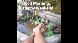 Selamat Pagi Sabtu