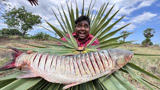 பனை மட்டைக்குள் சுட்ட பில் கெண்டை மீன்|Fish Tantoori Inside Palm Leaf|Village Food Safari|Suppu