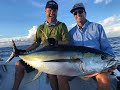 IFISH Yellowfin Tuna