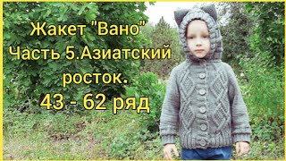 Жакет &quot;Вано&quot; | Часть 5. Азиатский росток | 43 - 62 ряд