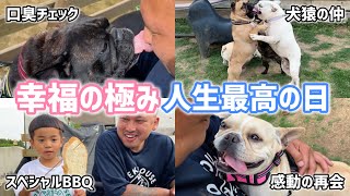 沢山の犬達と家族に囲まれて人生最高の日を過ごしました。