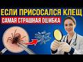 🕷️ КЛЕЩ УКУСИЛ? 72 ЧАСА РЕШАЮТ ВСЁ! | советы для пожилых