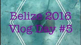 BELIZE 2016 VLOG DAY #5// SNORKEL AND SNUBA