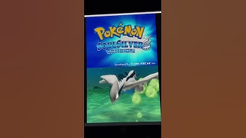 Why You Should NEVER Buy Fake Pokémon Games!