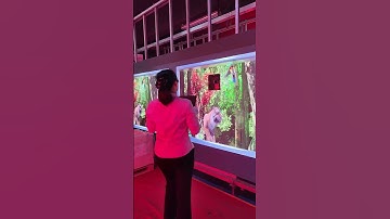 Installing this LED video wall is a breeze #leddisplay #leddisplaymaunfacturer # visualeader #led