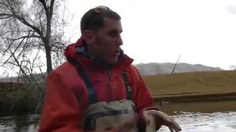 JRC Best Practices Training Series   Streambank Soil Bioengineering