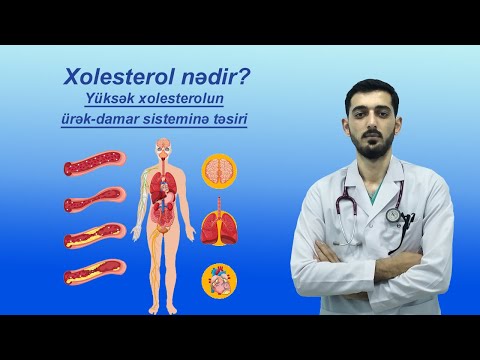 Xolesterol nədir? Yüksək xolesterolun ürək-damar sisteminə təsiri | Dr. Ramil&rsquo;lə Sağlamlığa Doğru