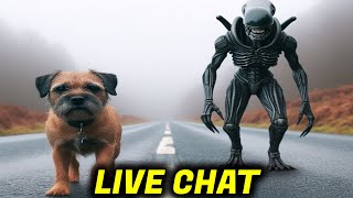 Chill Stream