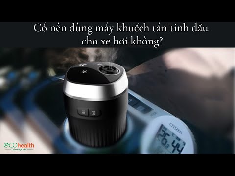 Video: Wilko có bán dầu xe hơi không?