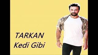 TARKAN - Kedi Gibi ( KISA ) KARAOKE