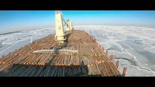Timelapse of log carrier from New Zealand to China