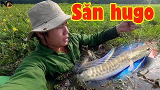 Hành trình săn cá lóc hugo tập 64