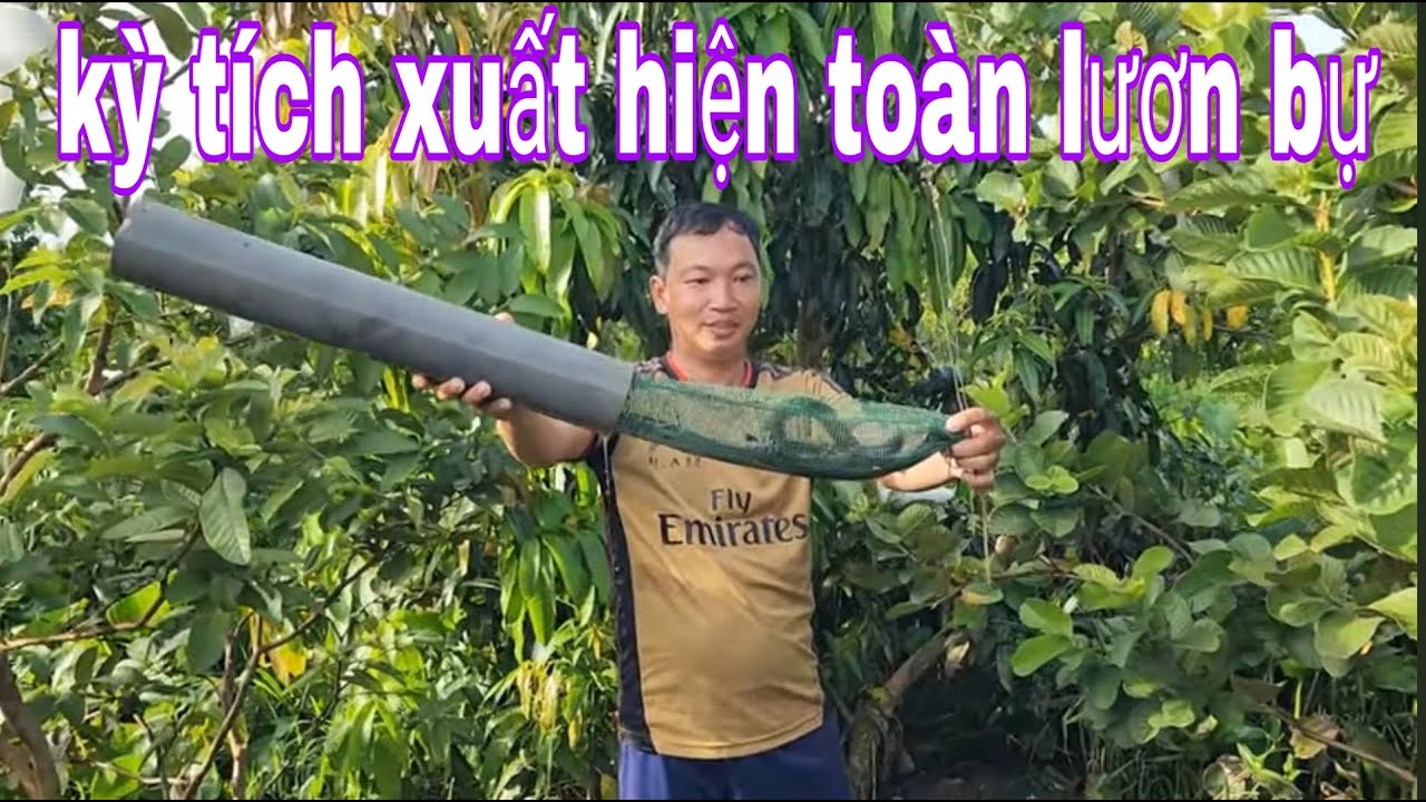 Đặt Trúm Lươn Vậy Hỏi Sao Không Ham Trúng Bầy Lươn Bự Vườn Ổi # SĂN BẮT ĐỒNG THÁP #