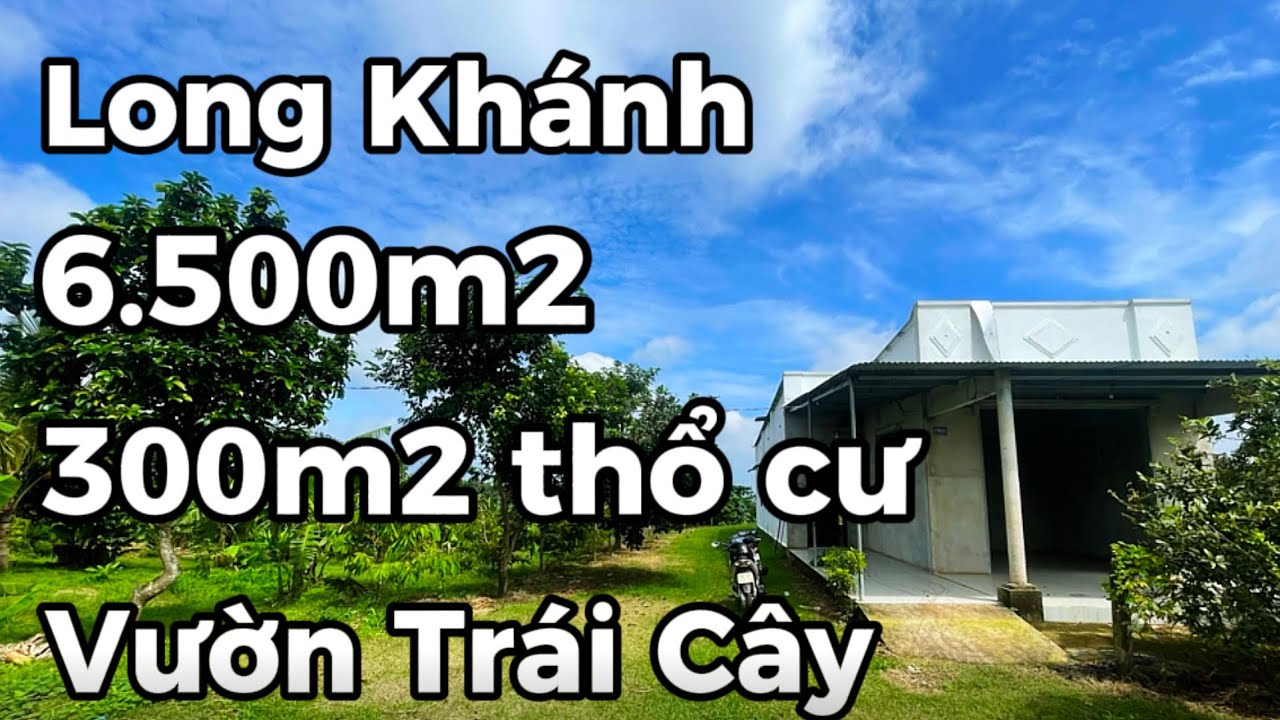 NHÀ VƯỜN THỔ CƯ TRÁI CÂY LONG KHÁNH ĐỒNG NAI QUÁ ĐẸP NHÌN MÊ LUÔN 