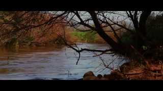 Watch Seth Lakeman The Ballad Of Midsomer County video