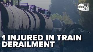 Person injured in Springville train derailment