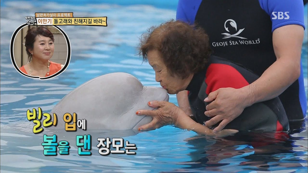 SBS [Мед] - Свекровь, я надеюсь, вы близко к дельфинам