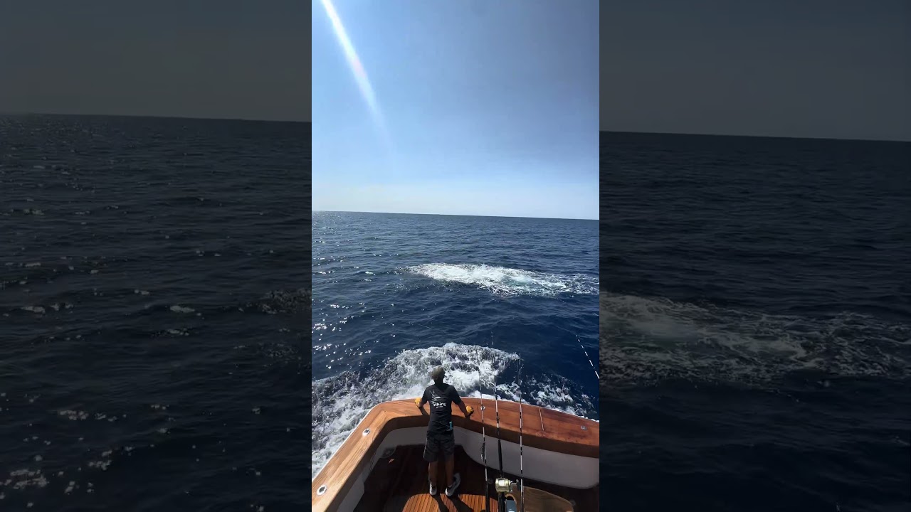 The kind of good time we’re searching for!