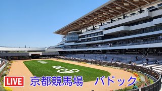 ライブカメラ　京都競馬場　パドック