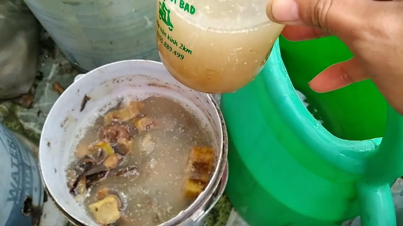 This Rotten Banana Trick Made My Tomatoes Explode with Flowers