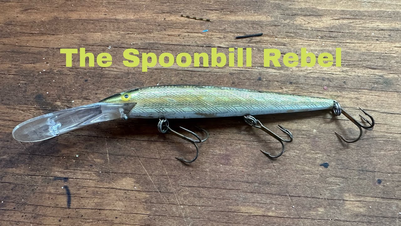 How And When To Fish The Spoonbill Rebel… 