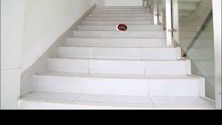 Parrokmon RC 2.4GHz DIY Assembled Intelligent Ladybug Robot