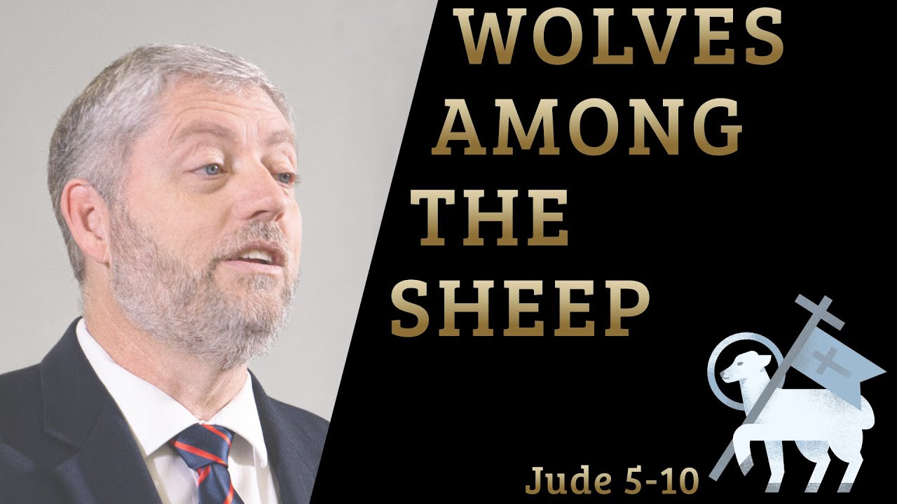 Wolves among the sheep jude 5 10 youtube