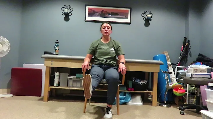Seated Exercise