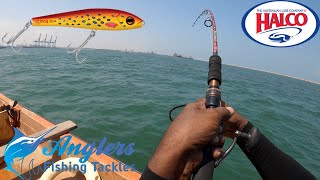 GT Fishing with HALCO Slidog 125mm | GT Fishing CHENNAI | It's Hobby Time