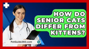 How Do Senior Cats Differ From Kittens? - PetGuide360.com