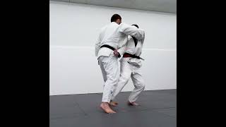 Lex Fridman doing judo