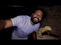 Gaushala me mili ek GOH 😱  | Day 20 |  Shaam ka ajeeb pal | 100 Days Vlogging Challenge