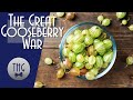 The us war on currants and gooseberries