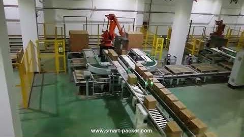 Carton box robot hand palletizing machine box palletizer equipment line