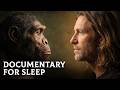 Why Human Evolution Stopped | Documentary for Sleep