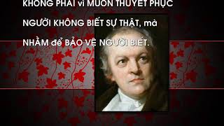 Danh ngôn cuộc sống của William Blake-P.I _  Elektronomia – Butterfly