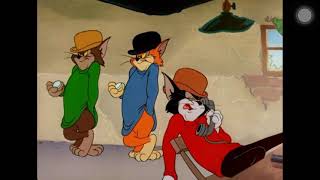 Tom cat gangster against jerry gym