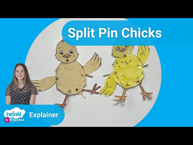 Split Pin Crafts 