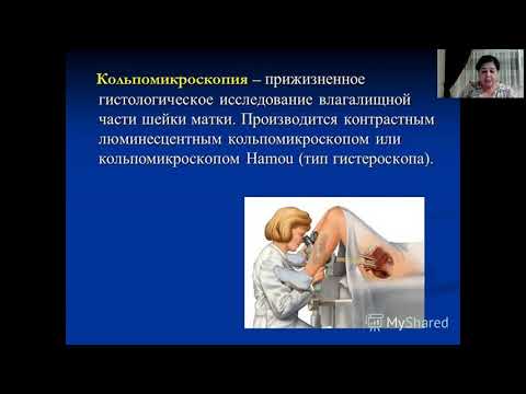 Предмет гинекологии