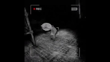 [Content Warning] It Screams