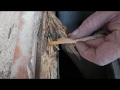 Fensterrahmen morsches Holz reparieren, repair rotten wood frame