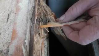 Fensterrahmen morsches Holz reparieren, repair rotten wood frame