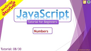 Celebrity JavaScript Tutorial 8/30: Numbers Profile