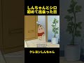 しんちゃんとシロ初めて出会った日 #お笑い #クレヨンしんちゃん #面白集 #アニメ #面白い